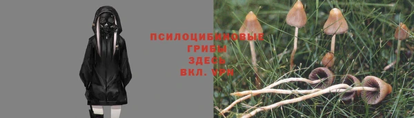а пвп мука Тобольск
