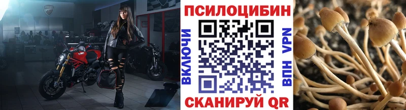 Галлюциногенные грибы Magic Shrooms  Цимлянск 